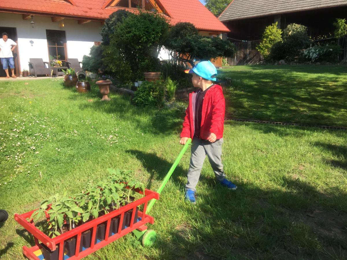 Dom Pod Orzechem Villa Łapczyce Dış mekan fotoğraf