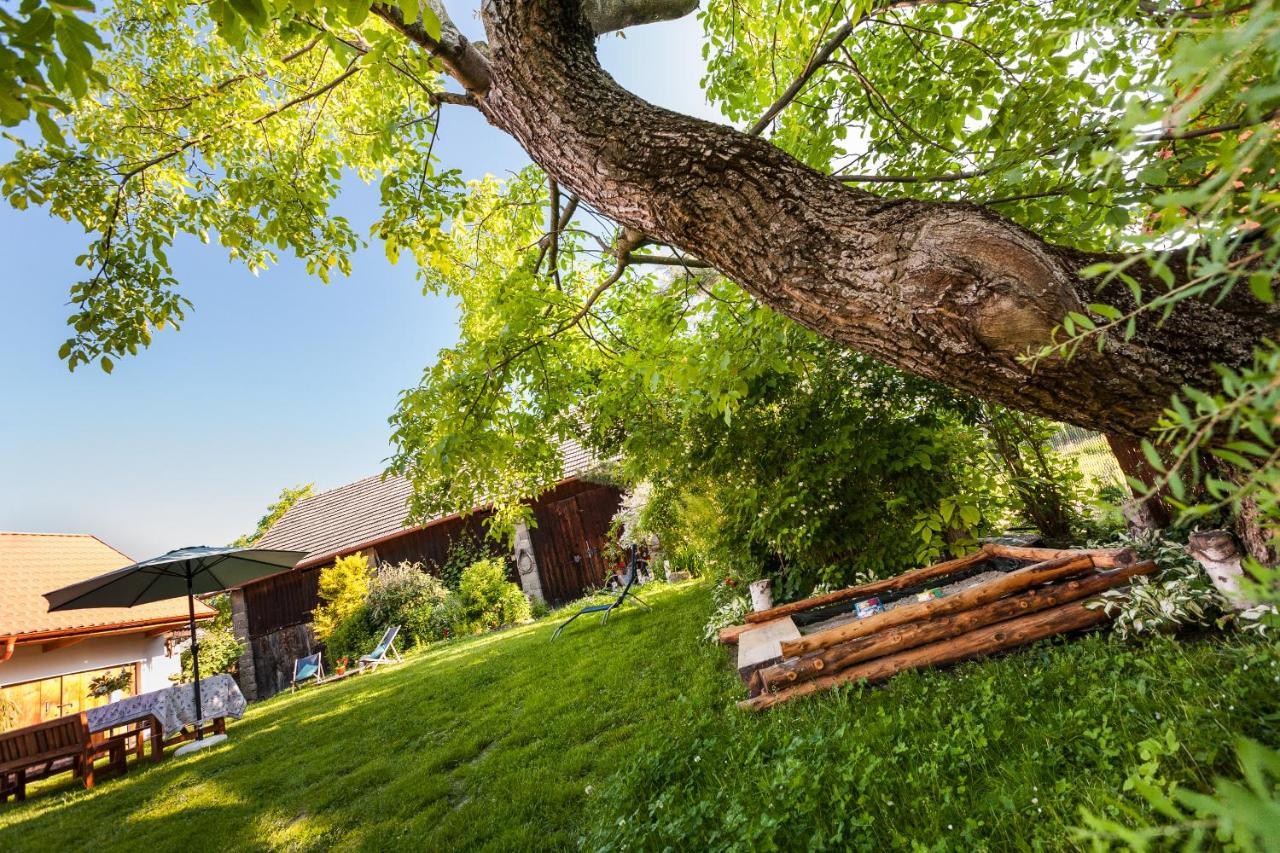 Dom Pod Orzechem Villa Łapczyce Dış mekan fotoğraf